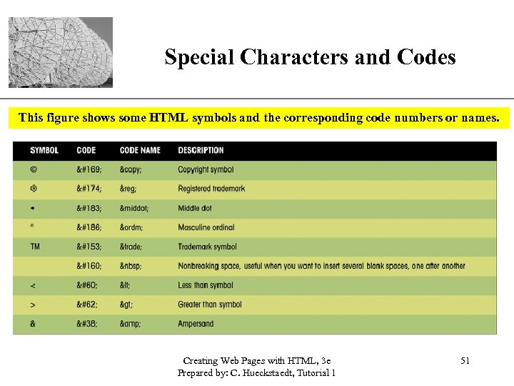 Special Characters and Codes XP This figure shows some HTML symbols and the corresponding