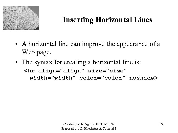 XP Inserting Horizontal Lines • A horizontal line can improve the appearance of a