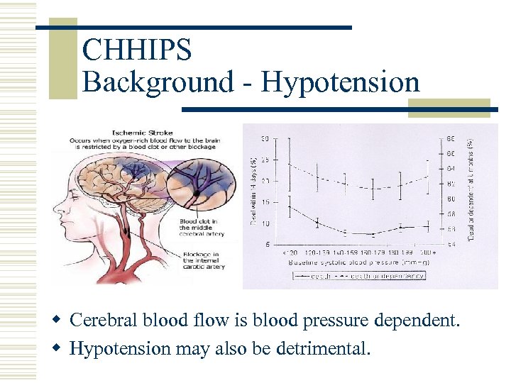 CHHIPS Background - Hypotension w Cerebral blood flow is blood pressure dependent. w Hypotension