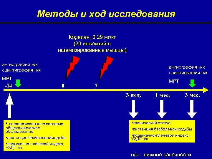 Методы и ход исследования Корвиан, 0, 29 мг/кг (20 инъекций в ишемизированные мышцы) ангиография