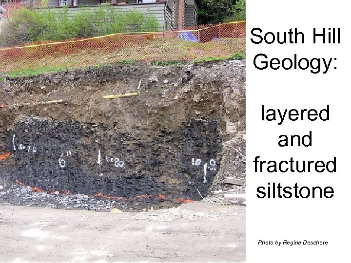 South Hill Geology: layered and fractured siltstone Diagram built from information in ESC report