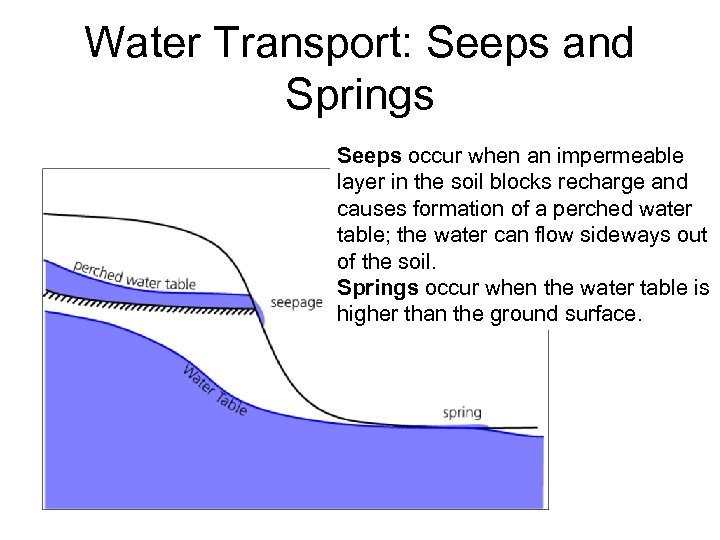 Water Transport: Seeps and Springs Seeps occur when an impermeable layer in the soil