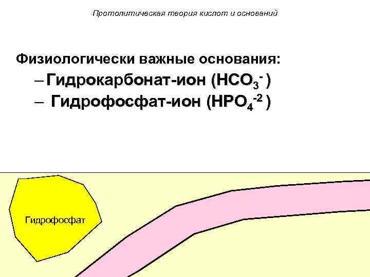 Протолитическая теория кислот и оснований Физиологически важные основания: – Гидрокарбонат-ион (HCO 3 - )