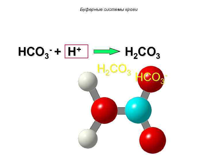 Буферные системы крови HCO 3 - + H+ H 2 CO 3 HCO 3