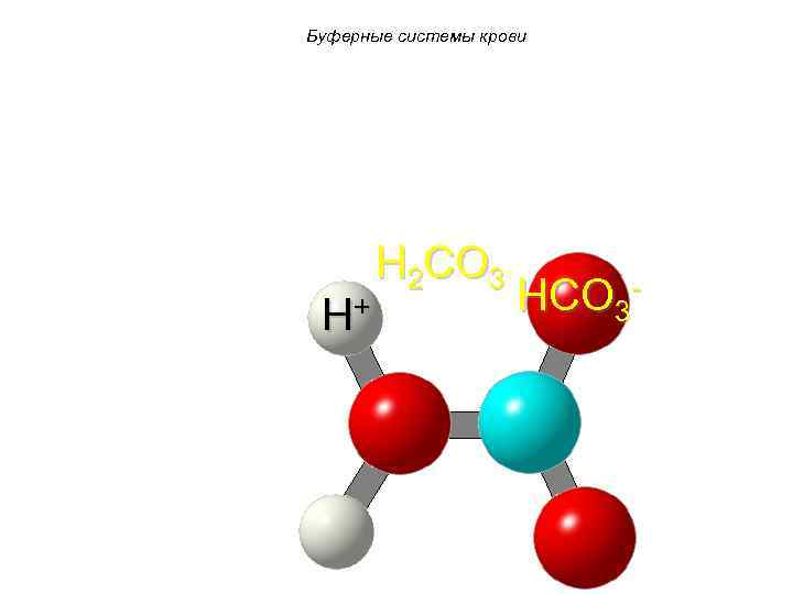 Буферные системы крови H+ H 2 CO 3 HCO 3 - 