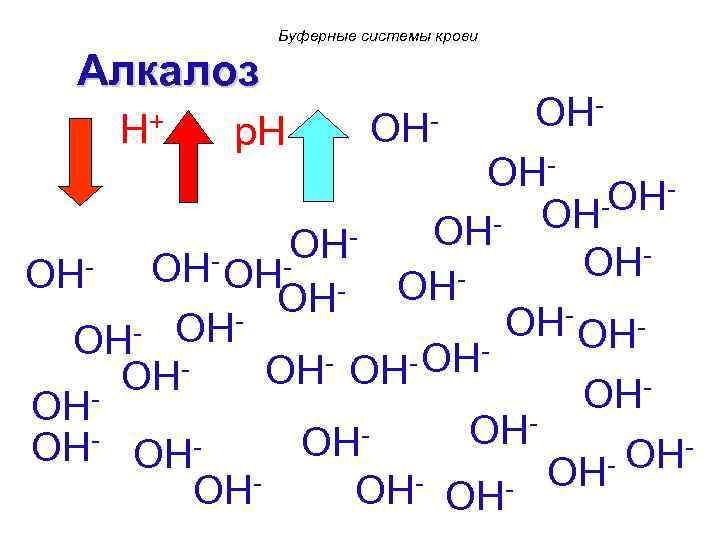 Буферные системы крови Алкалоз H+ p. H OH- OHOHOH OH - OHOH OH OH-