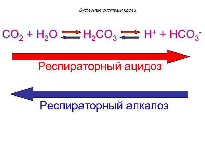 Буферные системы крови CO 2 + H 2 O H 2 CO 3 H+