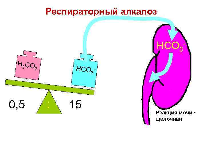 Респираторный алкалоз HCO 3 H 2 CO HCO 3 0, 5 3 : 15