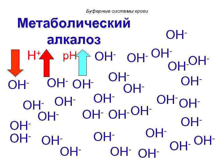 Буферные системы крови Метаболический алкалоз OH- OHp. H OHOHOH OHOHOH- OHOH OHOH OH- OHOHOH-