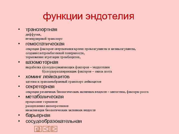 функции эндотелия • транспортная диффузия, везикулярный транспорт • гемостатическая секреция факторов свертывания крови: прокоагулянты