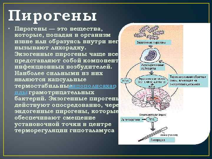 На фоне чего происходит усиление пассивно оборонительной реакции у собаки