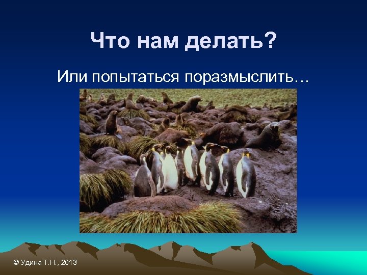 Что нам делать? Или попытаться поразмыслить… © Удина Т. Н. , 2013 