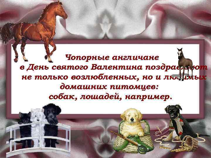 Чопорные англичане в День святого Валентина поздравляют не только возлюбленных, но и любимых домашних