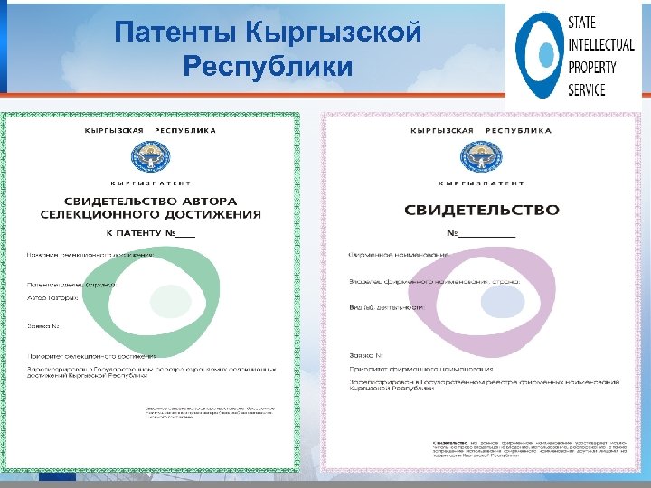 Патенты Кыргызской Республики 