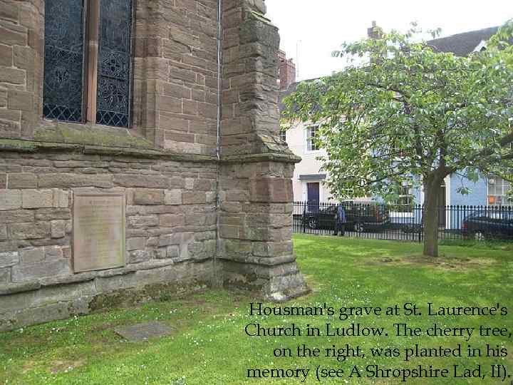 Housman's grave at St. Laurence's Church in Ludlow. The cherry tree, on the right,