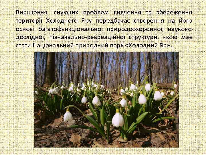 Вирішення існуючих проблем вивчення та збереження території Холодного Яру передбачає створення на його основі