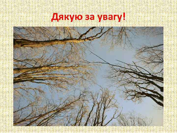 Дякую за увагу! 