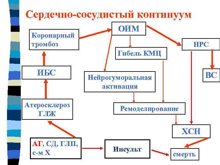 Сердечно-сосудистый континуум Коронарный тромбоз ОИМ НРС Гибель КМЦ ИБС Атеросклероз ГЛЖ ВС Нейрогуморальная активация