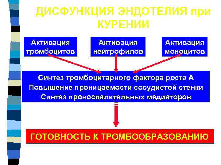 ДИСФУНКЦИЯ ЭНДОТЕЛИЯ при КУРЕНИИ Активация тромбоцитов Активация нейтрофилов Активация моноцитов Синтез тромбоцитарного фактора роста