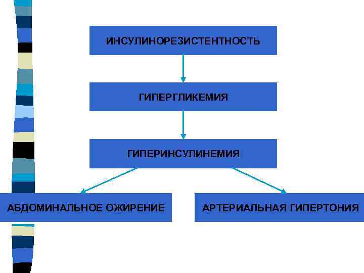 ИНСУЛИНОРЕЗИСТЕНТНОСТЬ ГИПЕРГЛИКЕМИЯ ГИПЕРИНСУЛИНЕМИЯ АБДОМИНАЛЬНОЕ ОЖИРЕНИЕ АРТЕРИАЛЬНАЯ ГИПЕРТОНИЯ 