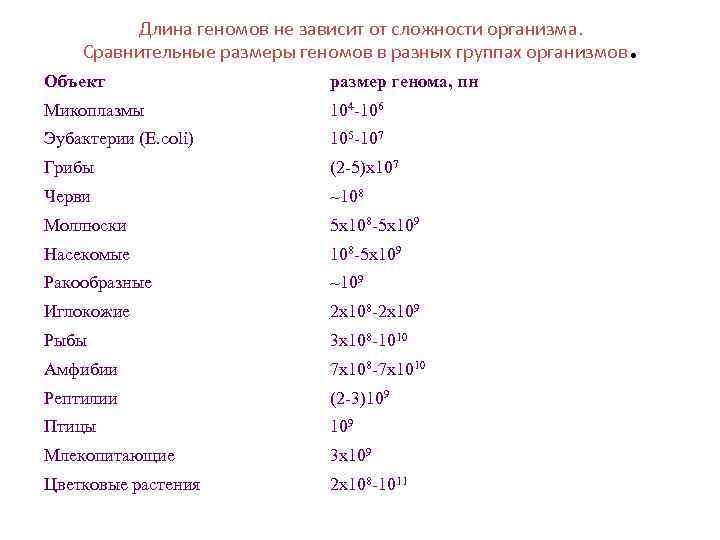 Длина геномов не зависит от сложности организма. Сравнительные размеры геномов в разных группах организмов