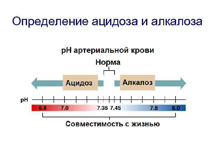 Определение ацидоза и алкалоза 