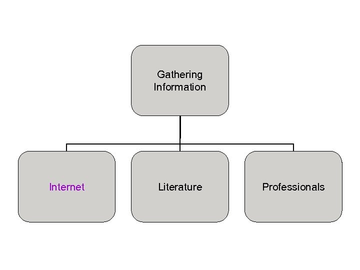 Gathering Information Internet Literature Professionals 