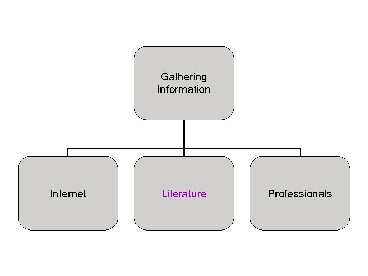 Gathering Information Internet Literature Professionals 