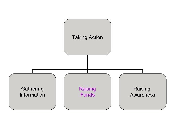 Taking Action Gathering Information Raising Funds Raising Awareness 