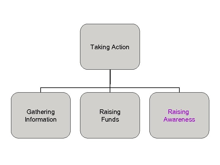 Taking Action Gathering Information Raising Funds Raising Awareness 