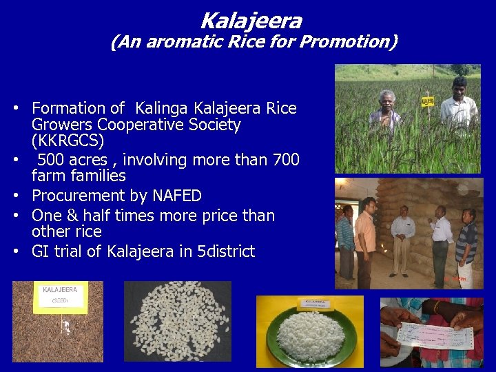 Kalajeera (An aromatic Rice for Promotion) • Formation of Kalinga Kalajeera Rice Growers Cooperative