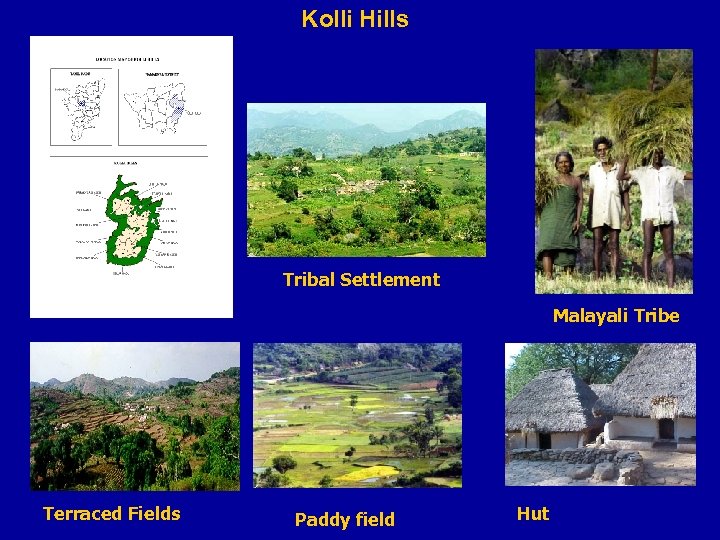 Kolli Hills Tribal Settlement Malayali Tribe Terraced Fields Paddy field Hut 