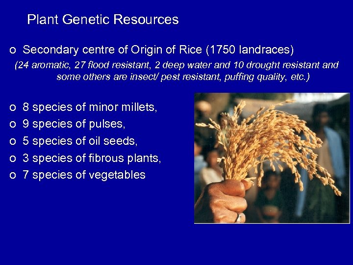 Plant Genetic Resources o Secondary centre of Origin of Rice (1750 landraces) (24 aromatic,