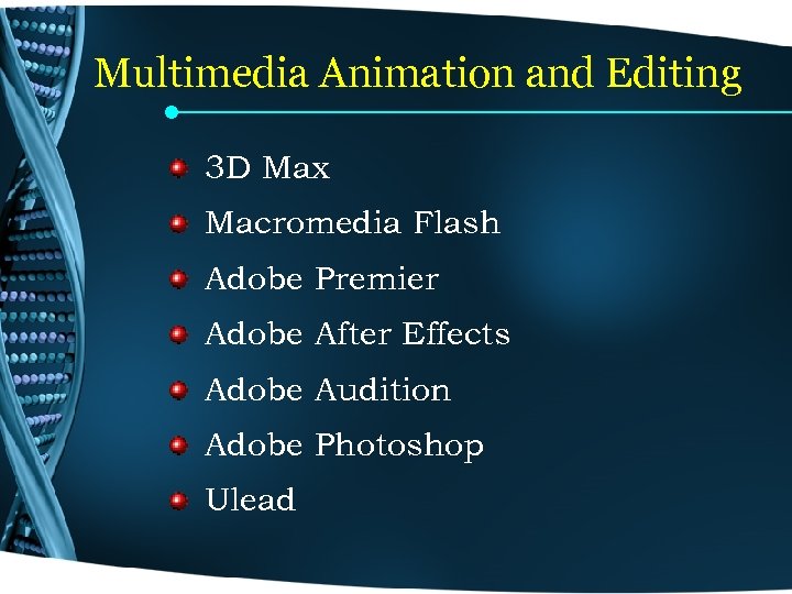 Multimedia Animation and Editing 3 D Max Macromedia Flash Adobe Premier Adobe After Effects