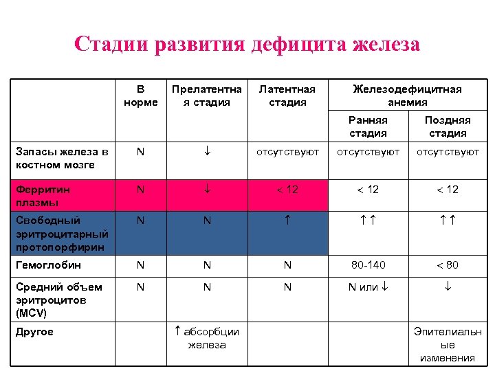 Норма железа при анемии