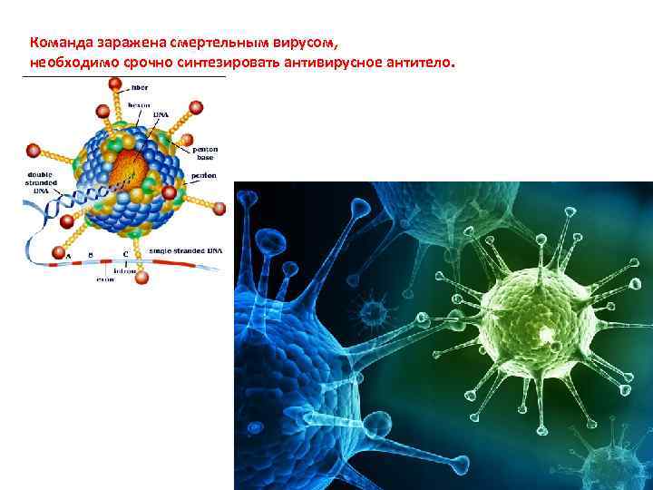Команда заражена смертельным вирусом, необходимо срочно синтезировать антивирусное антитело. 