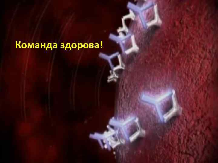 Команда здорова! 