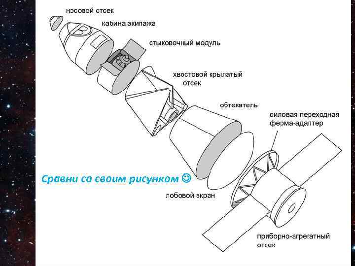 Запомни и нарисуй по памяти основные отсеки Сравни со своим рисунком 