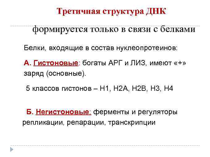 Третичная структура ДНК формируется только в связи с белками Белки, входящие в состав нуклеопротеинов: