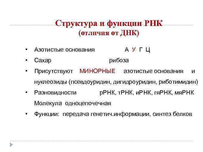 Вид азотистого основания рнк. Азотистые основания функции. Функции РНК. Структура азотистых оснований.