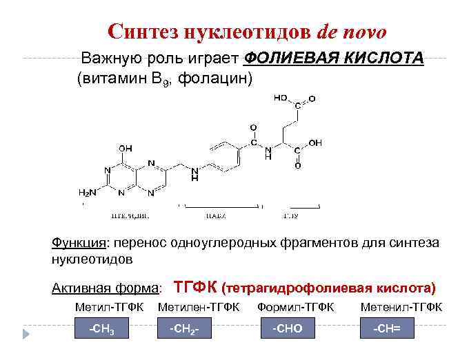 Обмен фолиевой кислоты. Фолиевая кислота в синтезе нуклеотидов. В12 Синтез нуклеотидов. Витамин в9 Синтез биохимия. Тетрагидрофолиевая кислота активная форма витамина в9.