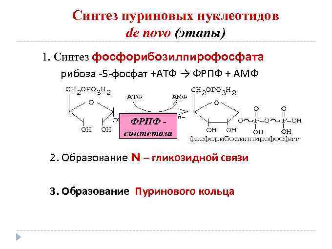 Этапы синтеза нуклеотидов. Рибозо 5 фосфат Синтез нуклеотидов. Синтез пуриновых нуклеотидов de novo. Синтез ФРПФ. Рибоза 5 фосфат Синтез нуклеотидов.