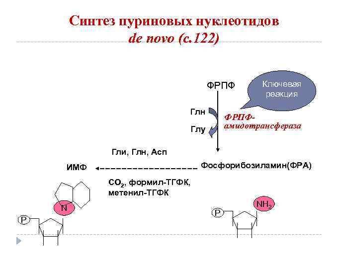 Синтез пуриновых нуклеотидов de novo (с. 122) ФРПФ Глн Ключевая реакция ФРПФамидотрансфераза Глу Гли,