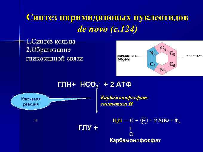 Синтез пиримидиновых нуклеотидов de novo (с. 124) 1. Синтез кольца 2. Образование гликозидной связи