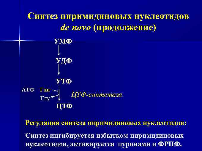 Синтез пиримидиновых нуклеотидов de novo (продолжение) УМФ УДФ УТФ АТФ Глн Глу ЦТФ-синтетаза ЦТФ