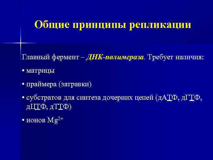 Общие принципы репликации Главный фермент – ДНК-полимераза. Требует наличия: • матрицы • праймера (затравки)