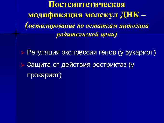 Постсинтетическая модификация молекул ДНК – (метилирование по остаткам цитозина родительской цепи) Ø Регуляция экспрессии