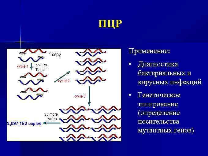 ПЦР Применение: • Диагностика бактериальных и вирусных инфекций • Генетическое типирование (определение носительства мутантных