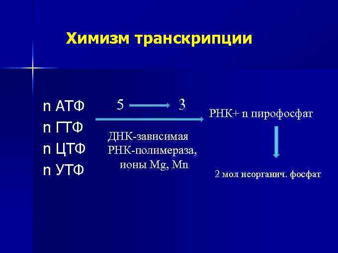 Химизм транскрипции n АТФ n ГТФ n ЦТФ n УТФ 5 3 ДНК-зависимая РНК-полимераза,