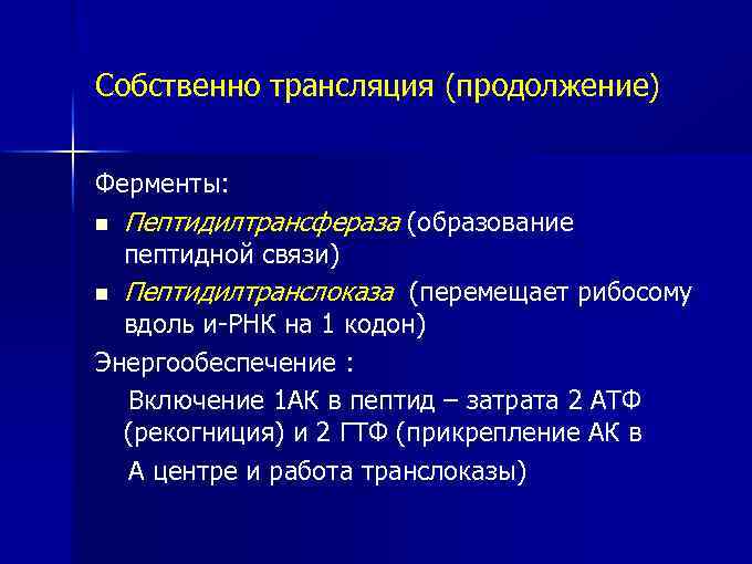 Собственно трансляция (продолжение) Ферменты: n Пептидилтрансфераза (образование пептидной связи) n Пептидилтранслоказа (перемещает рибосому вдоль